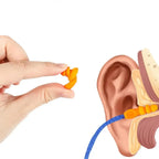 Bouchons d’oreilles anti-bruit avec cordon et étui 
